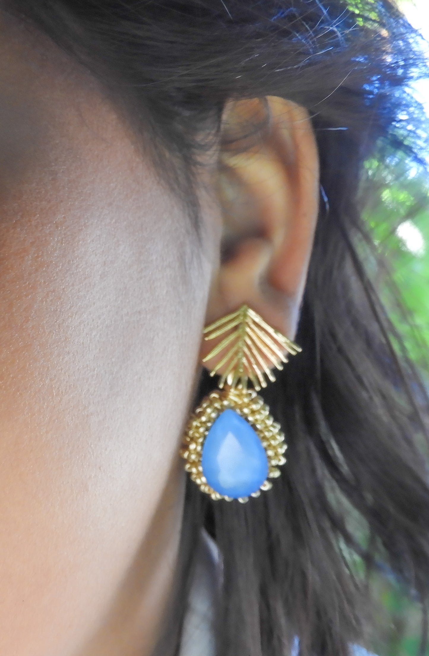 little Blue palm tree