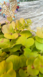 Anni – Handwoven Heart Earrings with Czech Beads or Zirconias